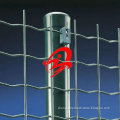 PVC Euro Fence / PVC Holland Wire Mesh fences ( best quality , 13 years factory )